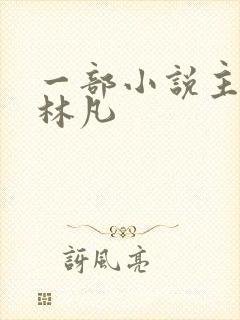一部小说主角叫林凡