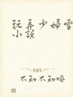 玩弄少妇雪白的小说