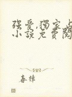 强爱,独家占有小说免费阅读无弹窗