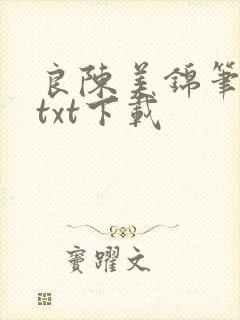 良陈美锦笔趣阁txt下载