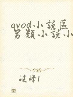 qvod小说区另类小说小说