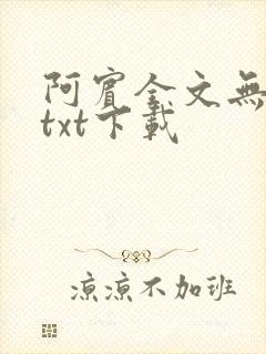 阿宾全文无删减txt下载