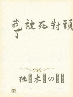 我被死对头囚禁了