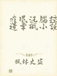 催眠洗脑控制改造常识小说封面