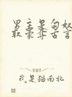 男主是匈奴的强取豪夺古言