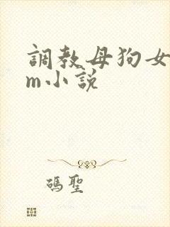 调教母狗女奴sm小说