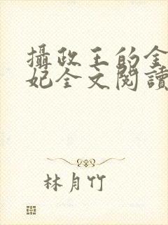 摄政王的金牌宠妃全文阅读免费封面