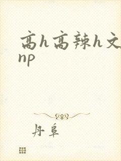高h高辣h文乱np
