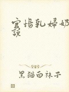 官场乳妇奶水小说