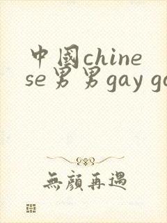中国chinese男男gay gay激情av封面