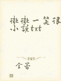 微微一笑很倾城小说txt