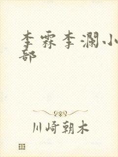 李霖李澜小说全部