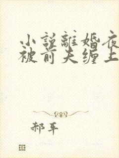 小说离婚夜,我被前夫缠上了txt