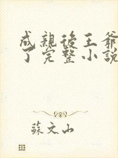 成亲后王爷暴富了完整小说封面