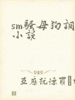 sm骚母狗调教小说封面