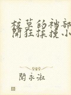 校草的裆部被扒开狂揉摸小说封面