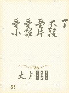 爱爱受不了高潮小说片段