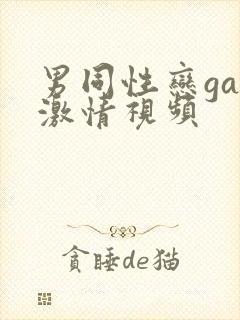男同性恋gay激情视频封面
