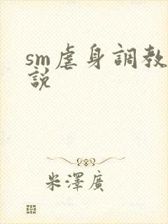 sm虐身调教小说