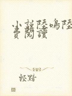 小说陆鸣陆瑶免费阅读封面