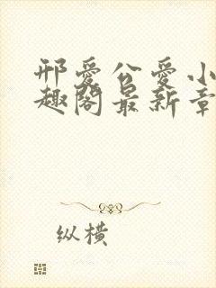 邢爱公爱小说笔趣阁最新章节更新