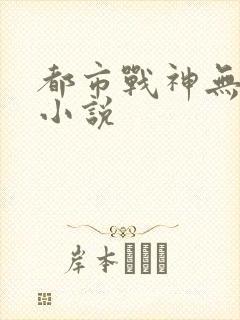 都市战神无双 小说