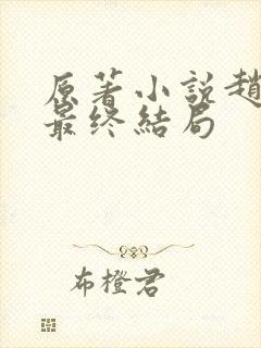 原著小说赵达功最终结局封面