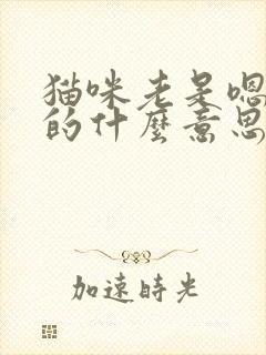 猫咪老是嗯嗯嗯的什么意思