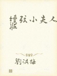 续弦小夫人完结版