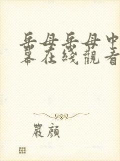 岳母岳母中文字幕在线观看