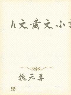 h文黄文小说封面
