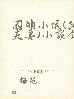 国明小仪(父女夫妻)小说全文免费阅读封面