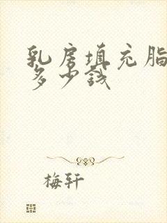 乳房填充脂肪要多少钱