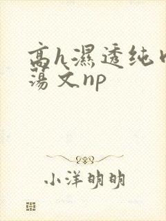高h湿透纯肉放荡文np