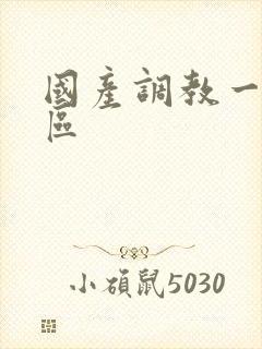 国产调教一区二区
