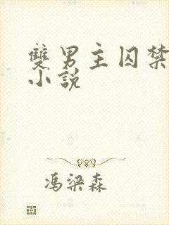 双男主囚禁调教小说