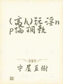 (高h)玩淫np伦调教