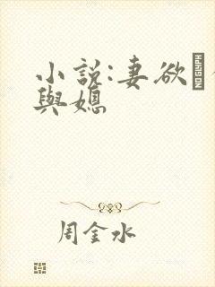 小说:妻欲·公与媳