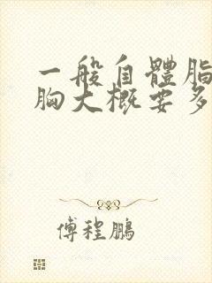 一般自体脂肪丰胸大概要多少钱