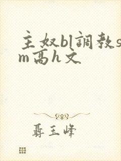 主奴bl调教sm高h文