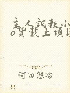 主人调教小sao货戴上项圈小说封面