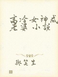 高冷女神成了我老婆 小说封面