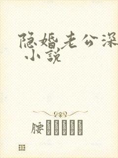 隐婚老公深夜来 小说