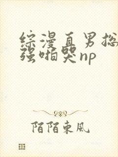 综漫直男总受被强啪哭np