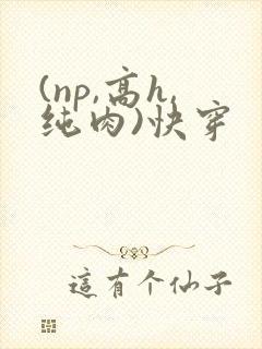 (np,高h,纯肉)快穿