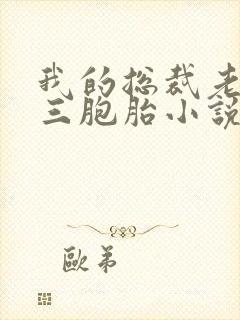 我的总裁老婆是三胞胎小说