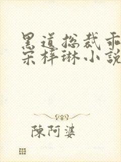 黑道总裁乖乖妻宋梓琳小说