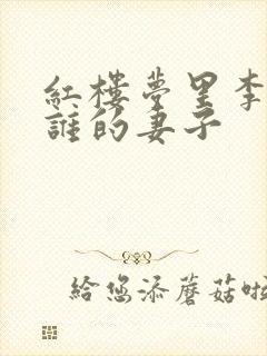 红楼梦里李纨是谁的妻子封面