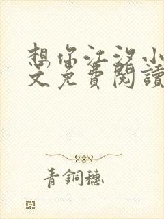 想你江汐小说全文免费阅读