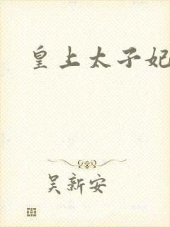 皇上太子妃h封面